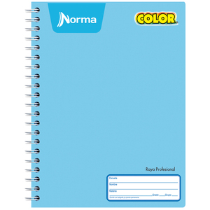 Cuaderno Profesional Norma Raya 100 hojas